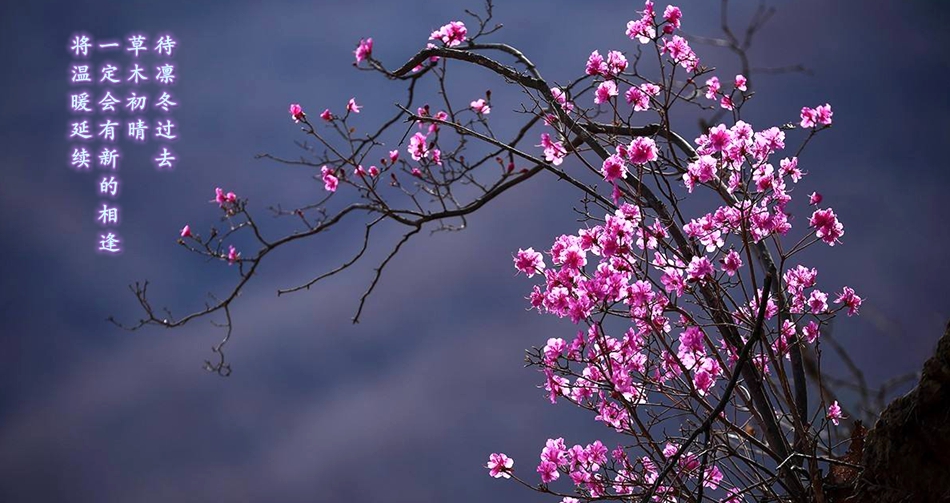 pg电子官网_游戏首页入口